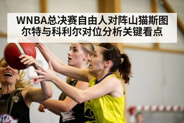 WNBA总决赛自由人对阵山猫斯图尔特与科利尔对位分析关键看点