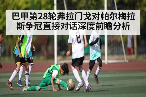巴甲第28轮弗拉门戈对帕尔梅拉斯争冠直接对话深度前瞻分析